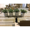 Case Of Faux Plants (074614)