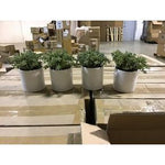 Case Of Faux Plants (074614)