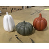 Assorted Pumpkins (073769) Local Pickup - Case