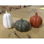 Assorted Pumpkins (073769) Local Pickup - Case