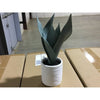 Threshold Tabletop Arrangement (076262) CASE