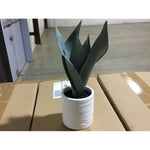 Threshold Tabletop Arrangement (076262) CASE