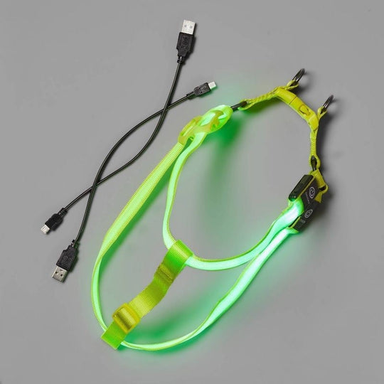 Boots & Barkley LED Rechargeable Dog Harness, Medium (050922) CASE