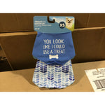 Vibrant Life XS Dog Bandana Set (CASE)