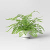 Threshold Faux Fern Tabletop Arrangement (070270) CASE