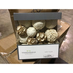 Threshold Vase Filler (070800) CASE