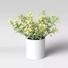 Threshold Potted Faux Plant (077924) CASE