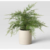 Threshold Large Asparagus Artificial Fern (076810) *CASE*