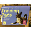 Up & Up XL Training Pads -  Unscented (100ct)