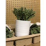 Case Of Threshold Faux Plant *Auction Only*