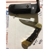 Buck Knife