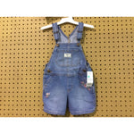 Oshkosh B’gosh Toddler Girls, 2T (060236) CASE