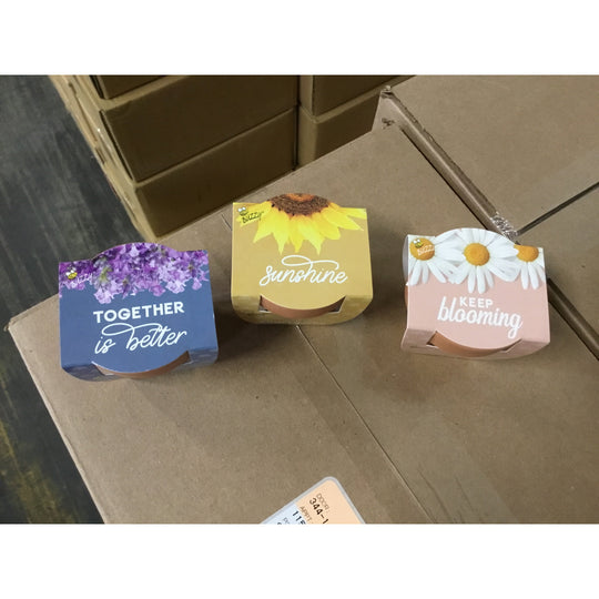 Buzzy Mini Grow Kit (190250) *CASE*